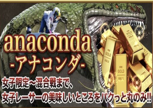 アナコンダプランの画像