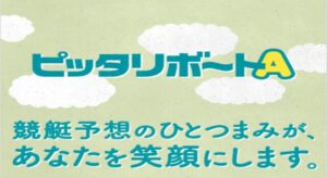 ピッタリボートA