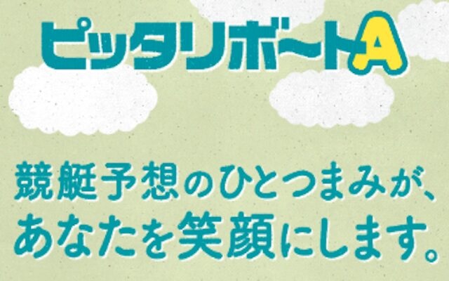 ピッタリボート