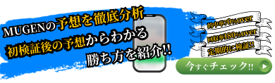 mugen-bunseki