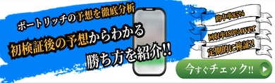 ボートリッチの検証
