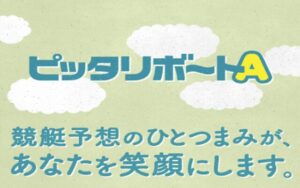 ピッタリボートA
