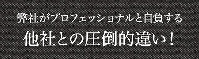 競艇プロフェッショナル　特徴